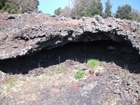 nte Cicirello-10042012 033